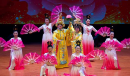 戏剧表演视频,戏剧表演视频中的情感演绎与舞台魅力