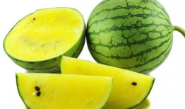 化妆师吃瓜爆料图片高清,高清吃瓜爆料，带你一窥娱乐圈真实一面