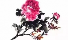 国画牡丹花教学视频,传统技法与现代创意的完美融合